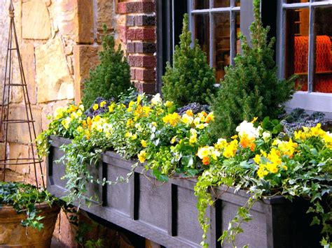 If you love gardening but don't have a lot of space, window boxes are the perfect solution! Pin on Window Boxes