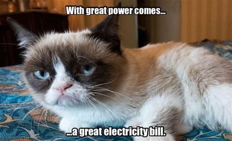 Grumpy Cat Explains The Energy Crisis Grumpy Cat Grumpy Cat Humor