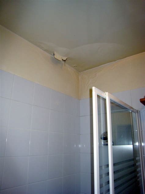 Le faux plafond pour salle de bain est la solution idéale pour vous. Forum Travaux Rénovation salle de bains peintures se ...