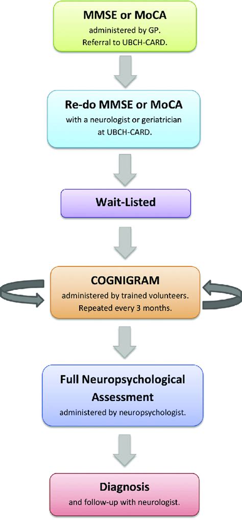 Integration Of The Cognigram Test Into The Cognitive Assessment And