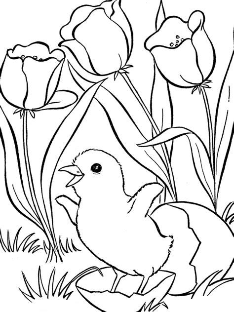 Feel free to print out as many as you want to ensure all your little ones have a fun easter memento they can proudly display. March 2012 | Holiday Coloring Pages