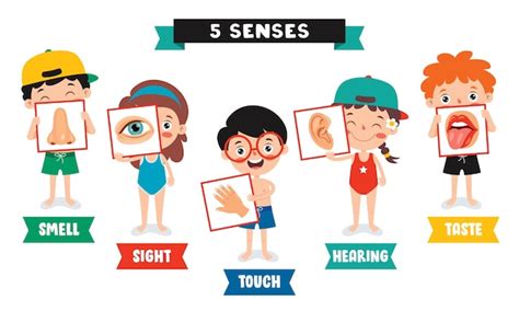 Premium Vector Five Senses Template With Kids Holding Human Organs