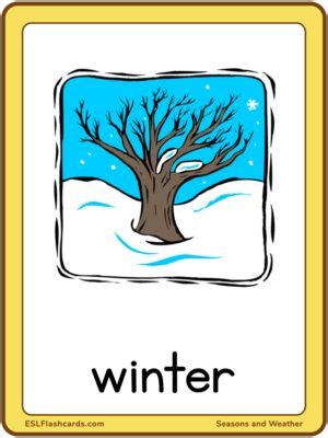 Seasons And Weather ESL Flashcards