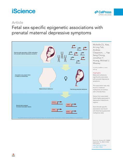 Pdf Fetal Sex Specific Epigenetic Associations With Prenatal Maternal