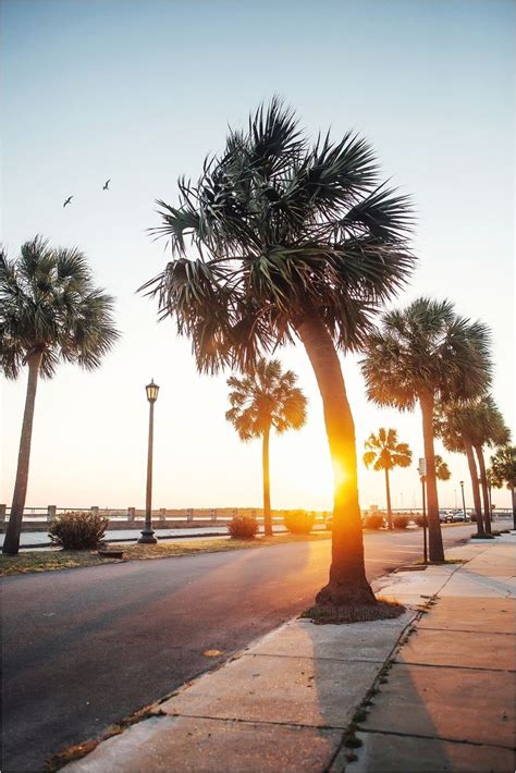 Best Charleston Sunsets Things To Do In Charleston Sc Charleston