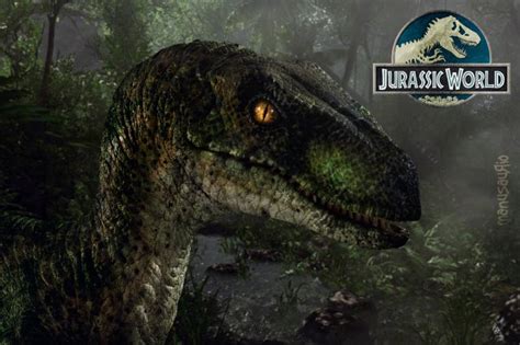 48 Jurassic World Velociraptor Wallpaper On Wallpapersafari