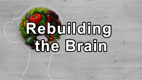 Rebuilding The Brain The Impact Of Diet And Lifestyle Choices