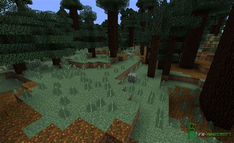 ⛏️ Fr Minecraft Biome Taïga à Grands Sapins