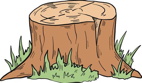 Tree Stump Cartoon Png Tree Trunk Tree Stump Trunk Tree Stump