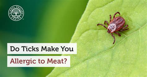 Lone Star Ticks Trigger Allergic Reactions To Meat