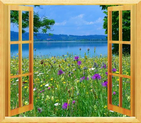 Download Window Nature Meadow Royalty Free Stock Illustration Image