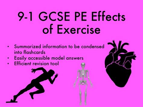 9 1 Gcse Pe Effects Of Exercise Teaching Resources