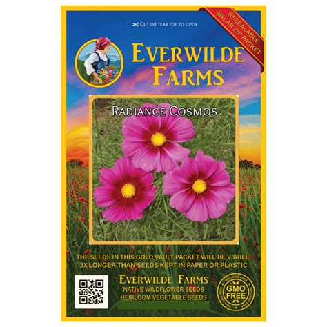 Everwilde Farms 500 Radiance Cosmos Garden Flower Seeds Gold Vault