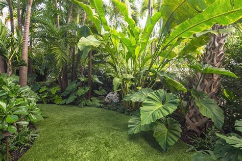 Amazing Ideas Of Tropical Backyard Concept Laorexa