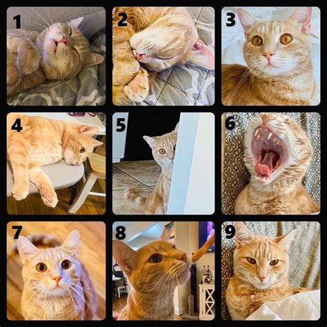 On A Scale Of 1 To 9 Which Noodles Are You Today Tween Girl Ts