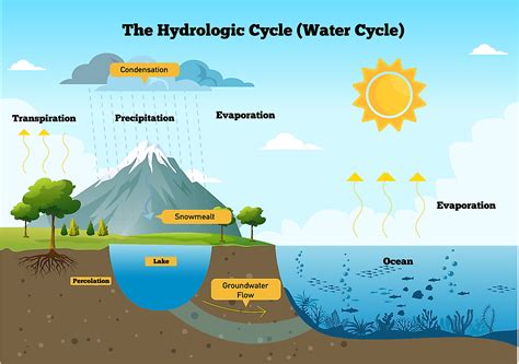 The Water Cycle Worldatlas