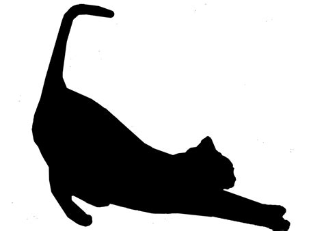 Cat Stretch Silhouette In Black Free Stock Photo Public Domain Pictures