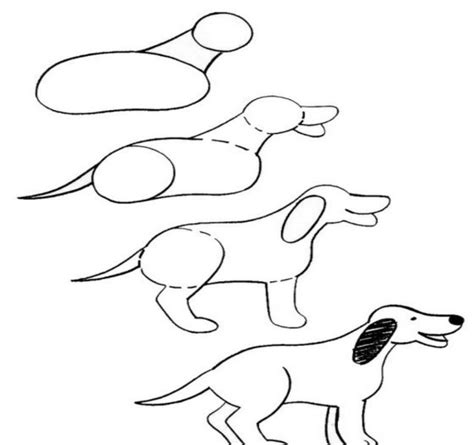 Рисунки собак карандашом для срисовки поэтапно 70 фото