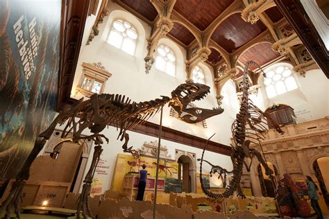 Chinese Dinosaurs Make A Historic Trip To The Uk New Scientist