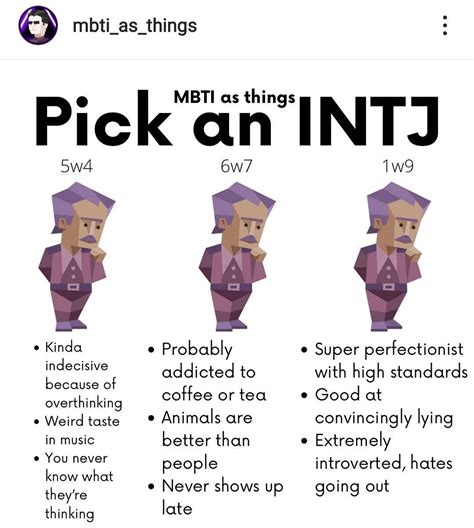 Intj Personality Myers Briggs Personality Types Myers Briggs Type