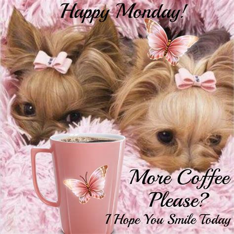 More Coffee Please I Hope You Smile Today Monday Quotes Monday Sayings