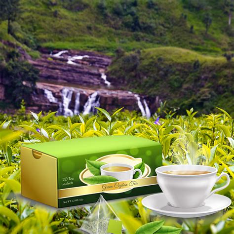 History Of Ceylon Tea Black Tea Exports