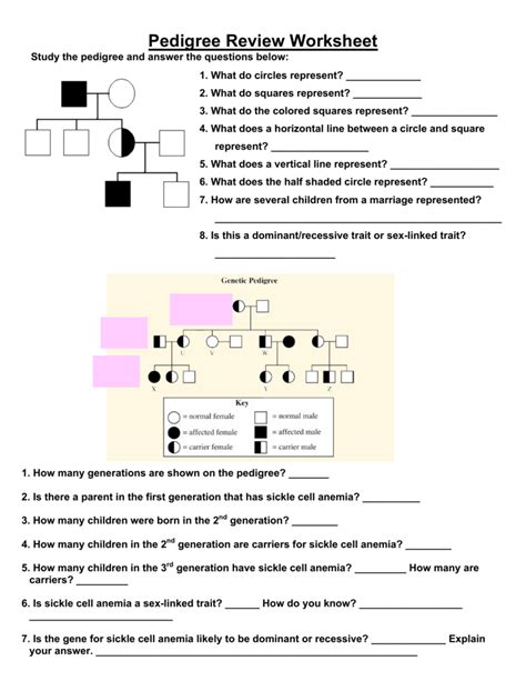 Genetic Pedigree Worksheet Answer Key Printable Word Searches