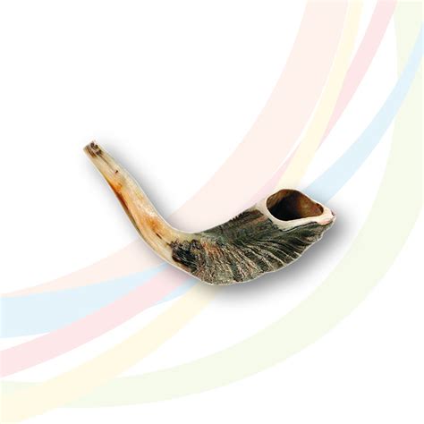 Rams Horn Shofar Small Kingdom Advance Network