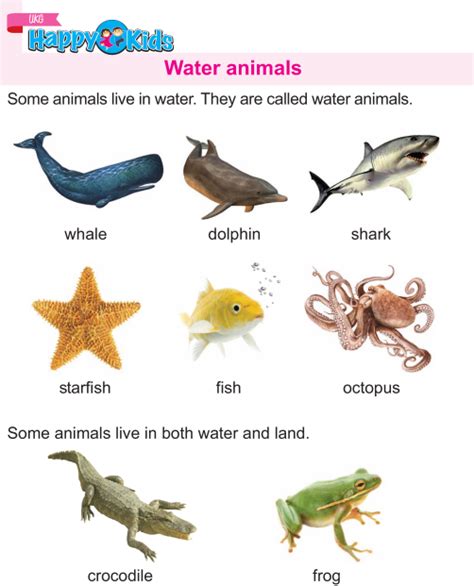 Aquatic Animals Pictures Animal Pictures For Kids Animals Live In