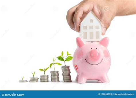 Growing Money Hand Man Holding House Model On Piggy Bank Isolated