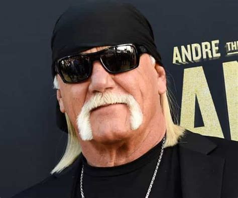 Hulk Hogan Mustache Beard Styles New Beard Style Beard Styles For Men