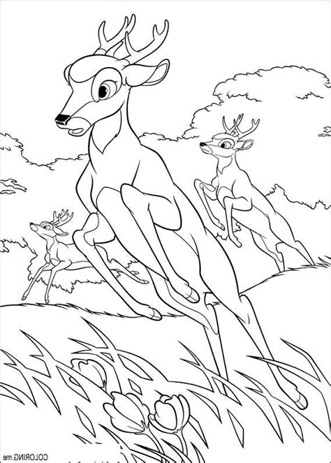 Deer Hunting Coloring Pages Neo Coloring