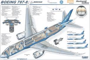 Boeing 787 Cross Section