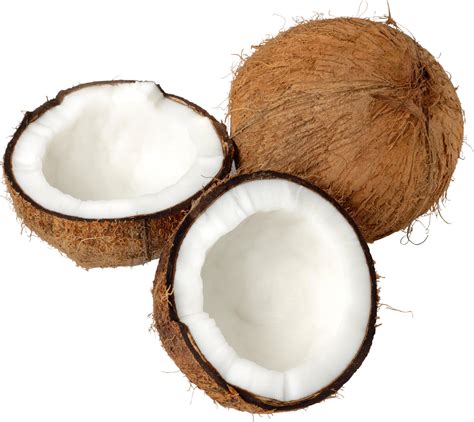 Coconut Png Png Picture Download