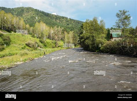 Altai Republic Sema River Near The Village Kamlak Stock Photo Alamy