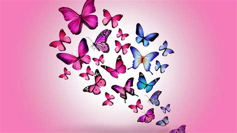 Cute Aesthetic Pink Butterfly Wallpapers Posted By Sarah Johnson