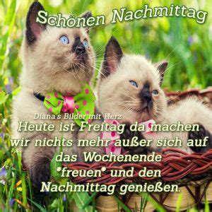 Nicht nur als ehepaar ist dies ein wichtiger tag im jahr, sondern auch wenn man ein guter freund oder eine gute freundin von den beiden personen ist, sollte man diesen tag nutzen und ihnen alles gute zur sogenannten hölzerne. Ein Schöner Tag Nachmittags | Bilder und Sprüche für Whatsapp und Facebook kostenlos