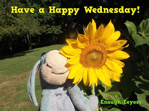 Wednesday / Eeyore / flowers | Happy wednesday, Eeyore, Pumpkin patch