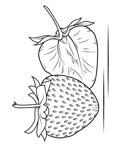 Just several interesting facts about strawberries before its coloring pages collection… it is a widely common plant that is valued for its fruit (berries). Strawberry coloring pages. Download and print Strawberry ...