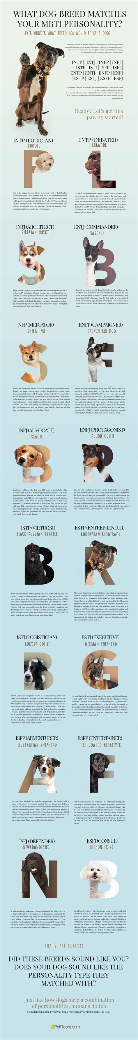 What Dog Breed Matches Your Mbti Personality Infographic
