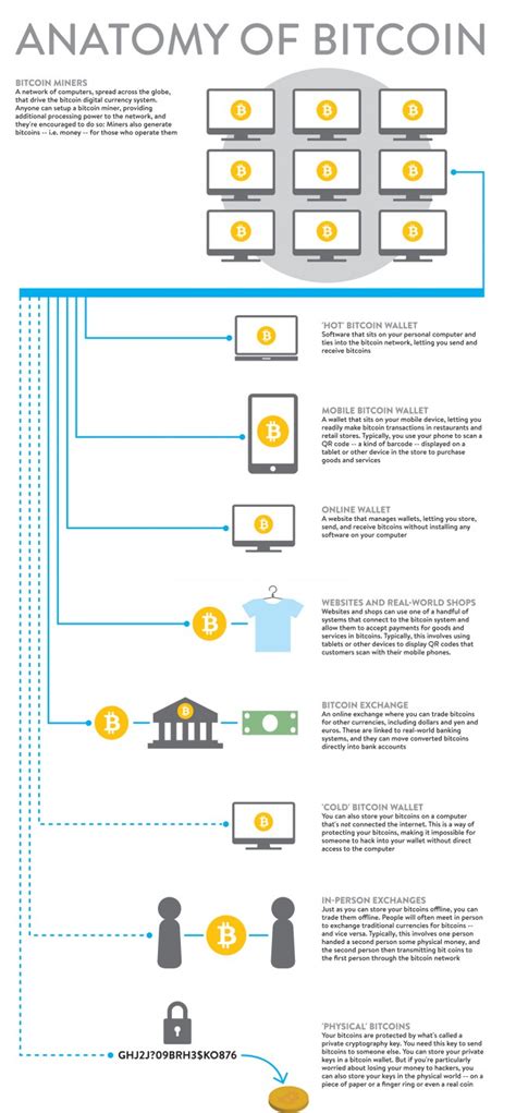 Bitcoin (₿) is a digital and global money system cryptocurrency. Anatomy of #Bitcoin Infographic - Best Infographics