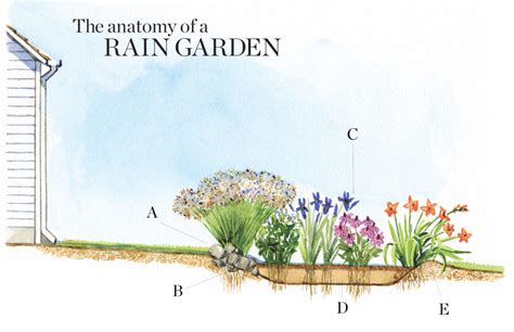 How To Design A Rain Garden Finegardening