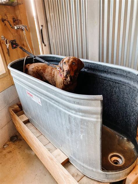 20 Easy Diy Dog Washing Station For Outdoors