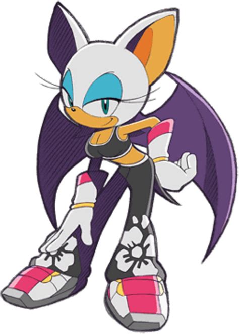 Rouge The Bat Sonic Riders Games Wiki Fandom