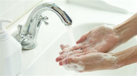 Hygiene New Research Shows Gross Habits Of Australians The Advertiser