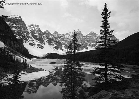 Lake Louise Moraine Lake And Trees Canada Dave Butcher