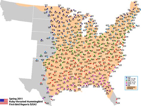 2011 Hummingbird Migration Maps