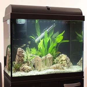 Interpet Aquaverse Glass Aquarium Fish Tank L Amazon Co Uk Pet