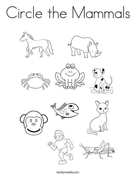 Mammals Worksheet For Kindergarten