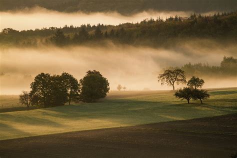 Early Morning Fog Lit By The Sunrise In Photograph By